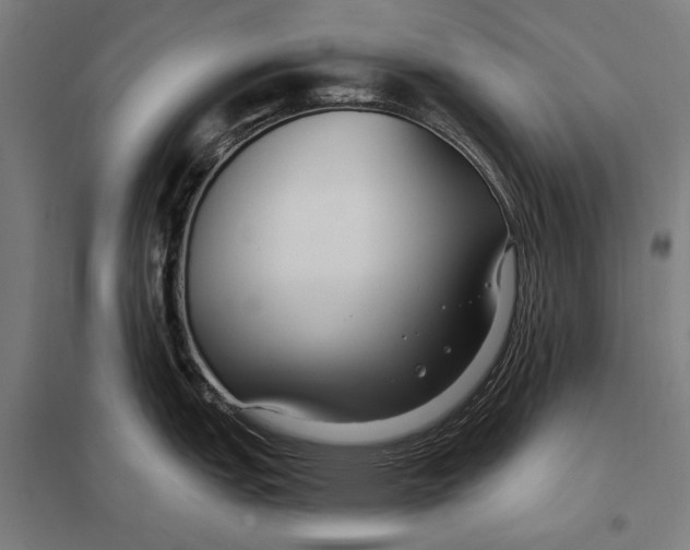 X0000097751151200803281603