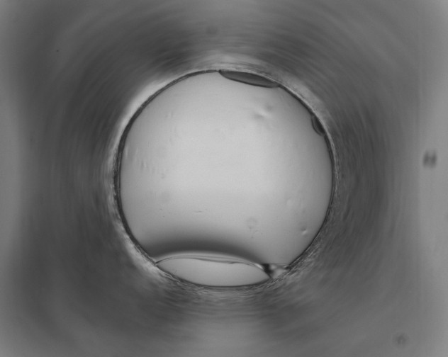 X0000097751152200803281603