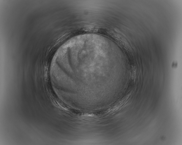 X0000097751154200803281603