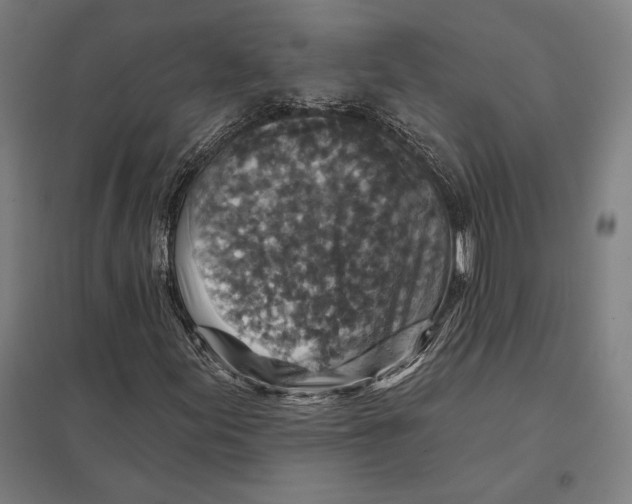 X0000097751155200803281603