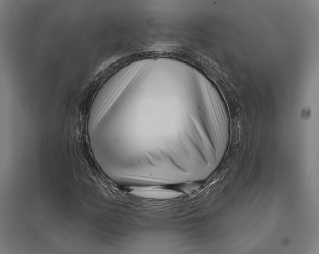 X0000097751158200803281603