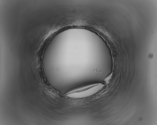 X0000097751160200803281603