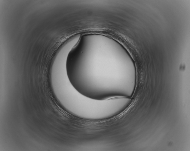 X0000097751161200803281603