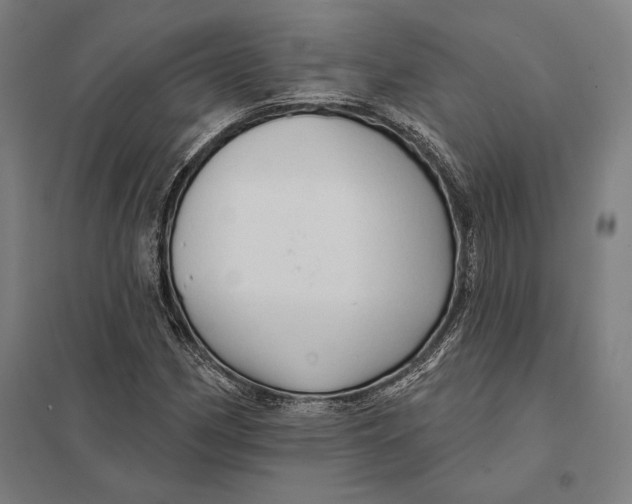 X0000097751162200803281603