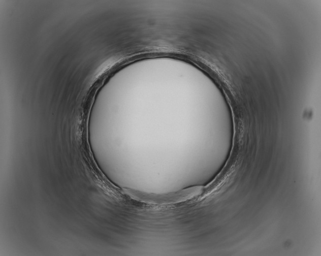 X0000097751163200803281603