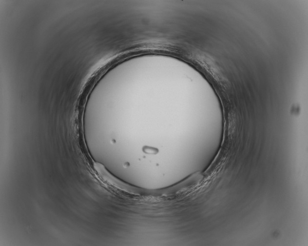 X0000097751164200803281603