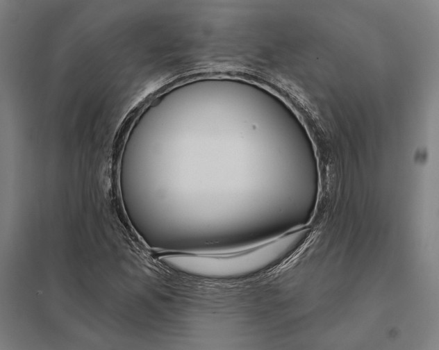 X0000097751165200803281603