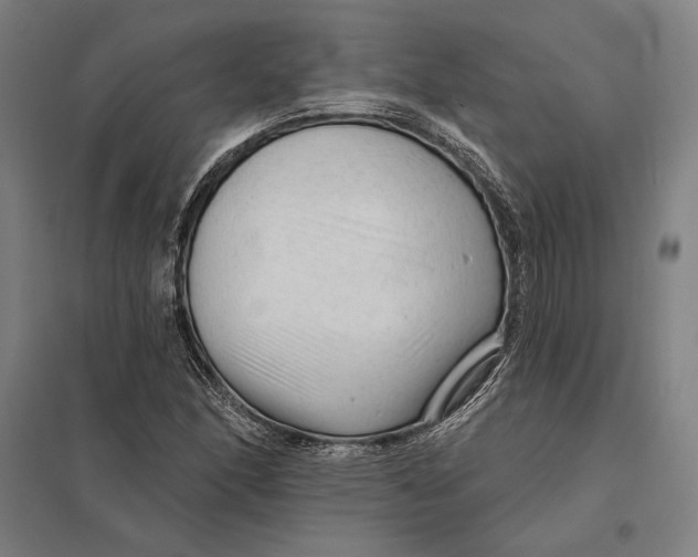 X0000097751166200803281603