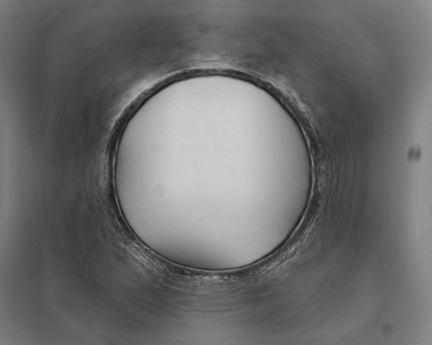 X0000097751167200803281603