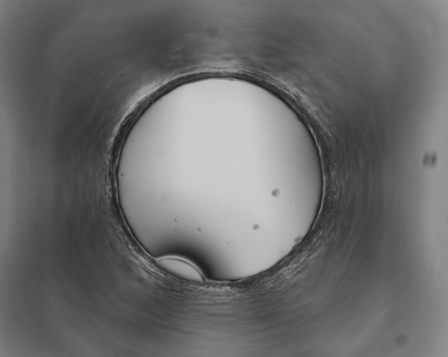 X0000097751168200803281603