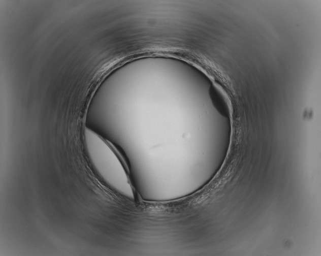 X0000097751169200803281602