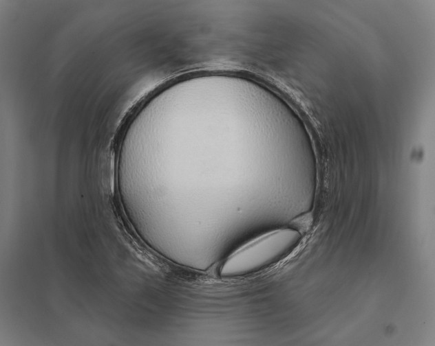 X0000097751171200803281602