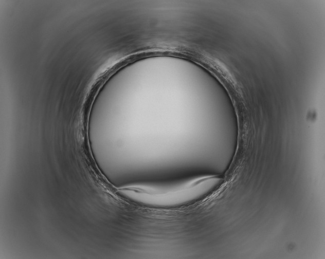 X0000097751172200803281602