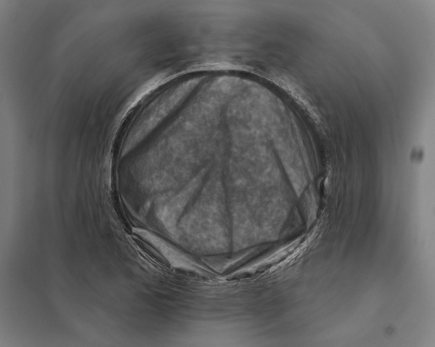 X0000097751173200803281602