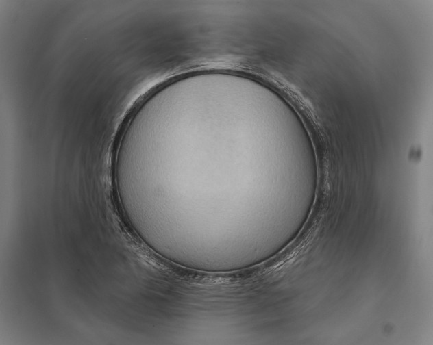 X0000097751174200803281602