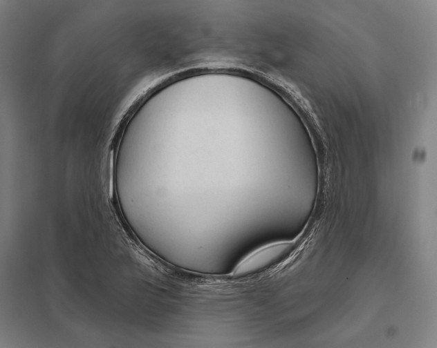 X0000097751175200803281602