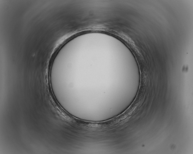 X0000097751176200803281602