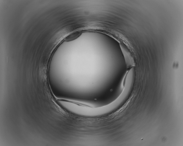 X0000097751177200803281602