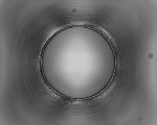 X0000097751178200803281602