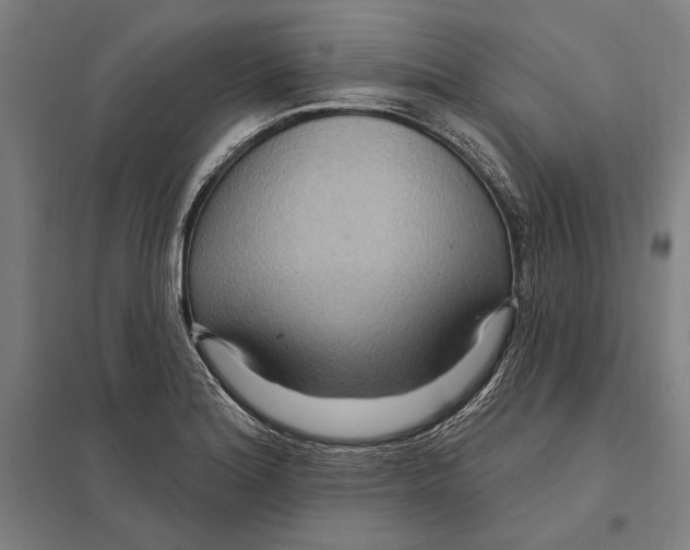 X0000097751180200803281602