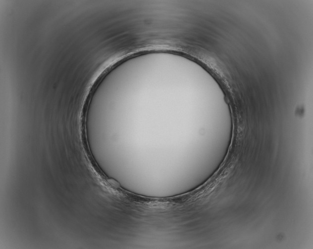 X0000097751181200803281602