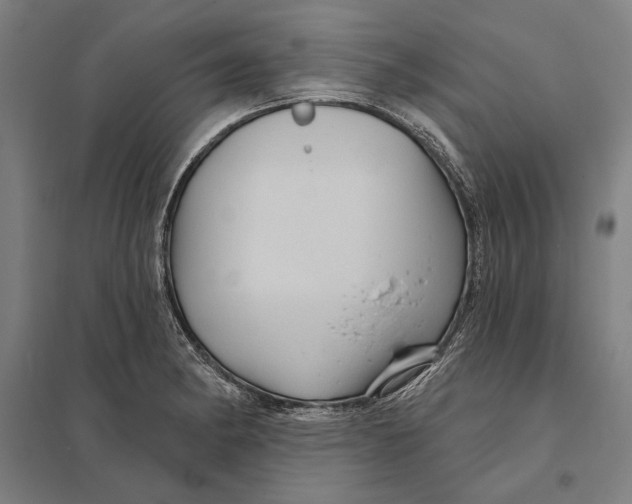 X0000097751182200803281602