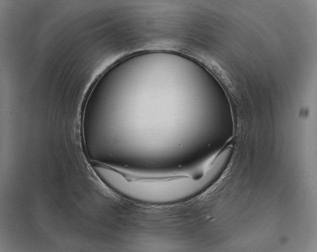 X0000097751184200803281602