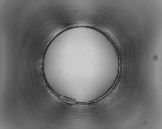 X0000097751185200803281602