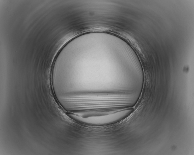 X0000097751186200803281602