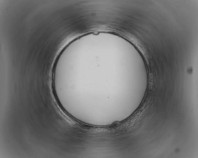 X0000097751187200803281602