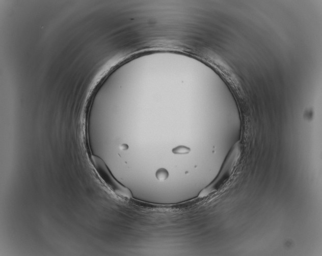 X0000097751188200803281602