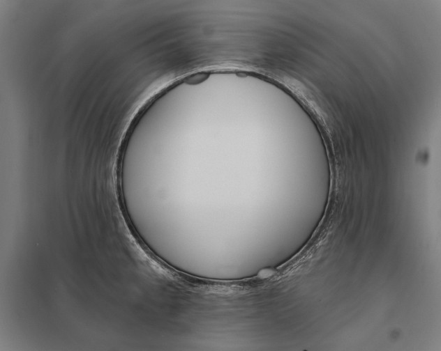 X0000097751189200803281602