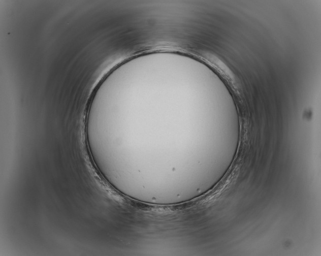 X0000097751190200803281602