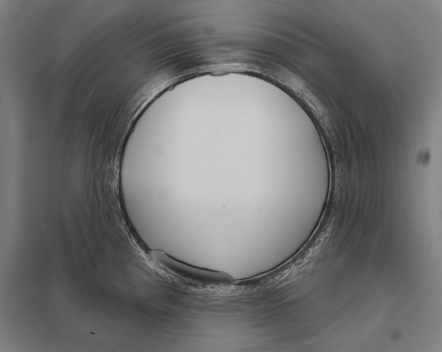 X0000097751193200803281602