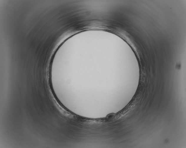 X0000097751195200803281602