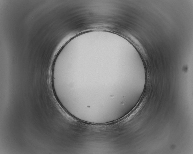 X0000097751196200803281602