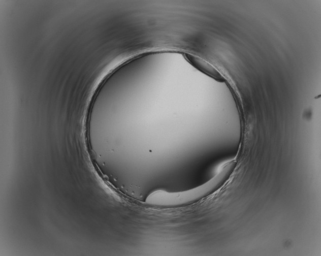 X0000097751197200803281602