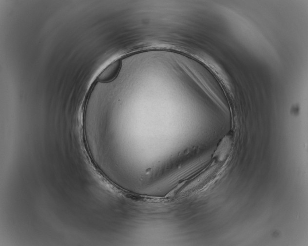 X0000097751198200803281602