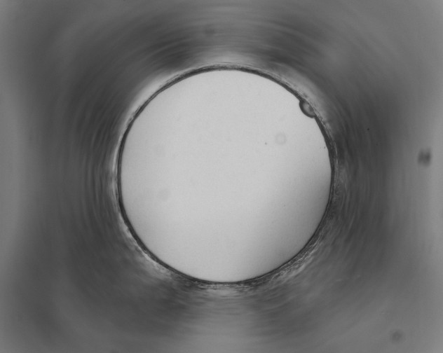 X0000097751199200803281602