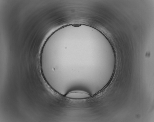 X0000097751200200803281602