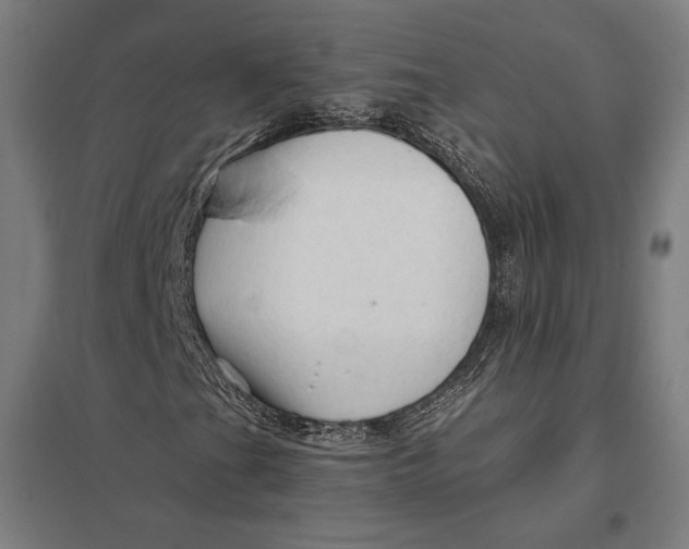 X0000097751201200803281601