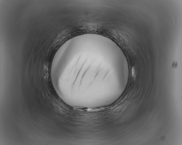 X0000097751203200803281601