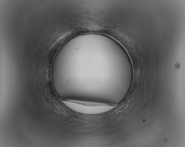 X0000097751205200803281601