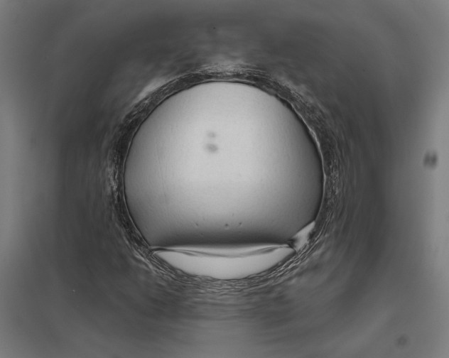 X0000097751206200803281601