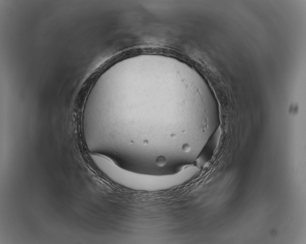 X0000097751208200803281602