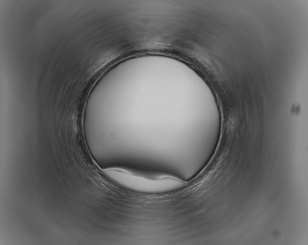 X0000097751209200803281602