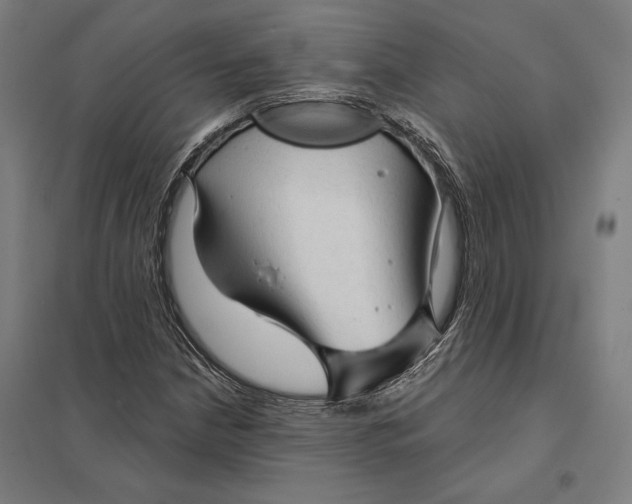 X0000097751210200803281602