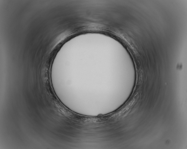 X0000097751211200803281602