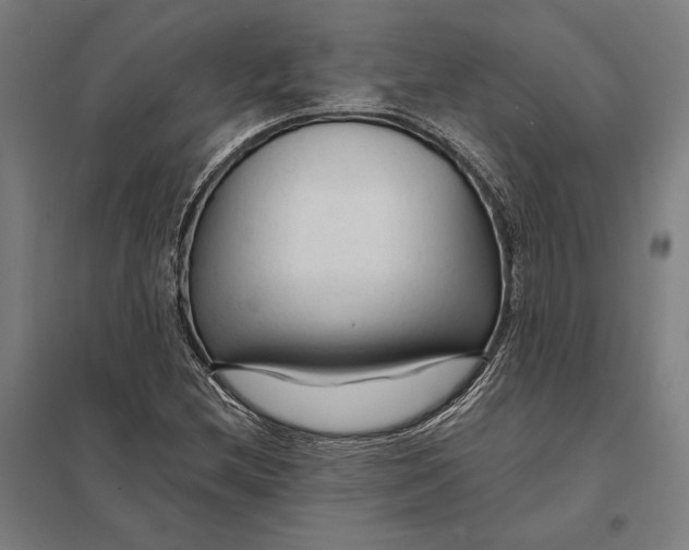 X0000097751212200803281602