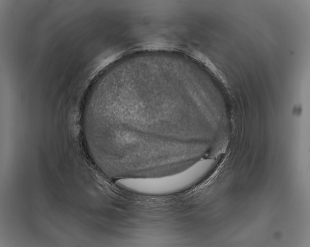 X0000097751213200803281602